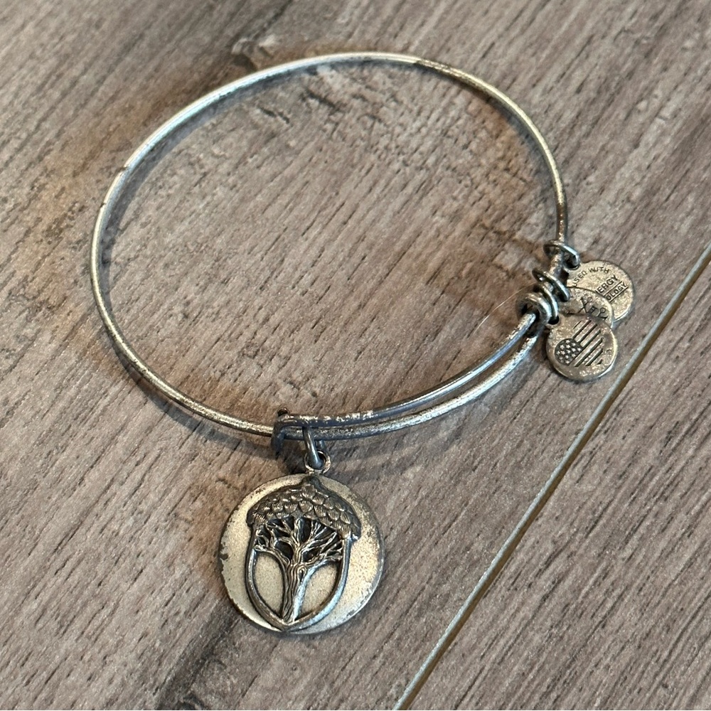 Alex and Ani - Unexpected Miracles Silver Bracelet